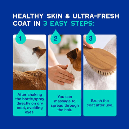 Professional grooming results using Douxo Spa dog spray