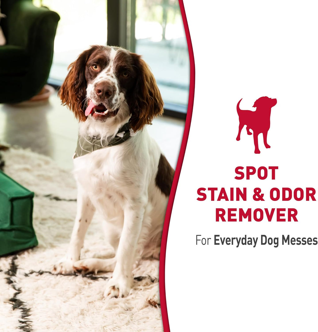 Nature's Miracle stain remover for carpet and hardwood floors