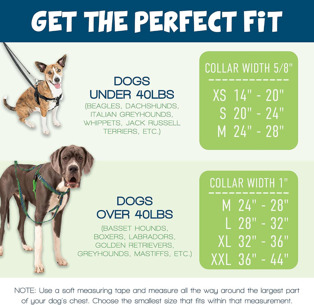 2 Hounds Design Freedom No Pull Dog Harness adjustable straps and fitting points