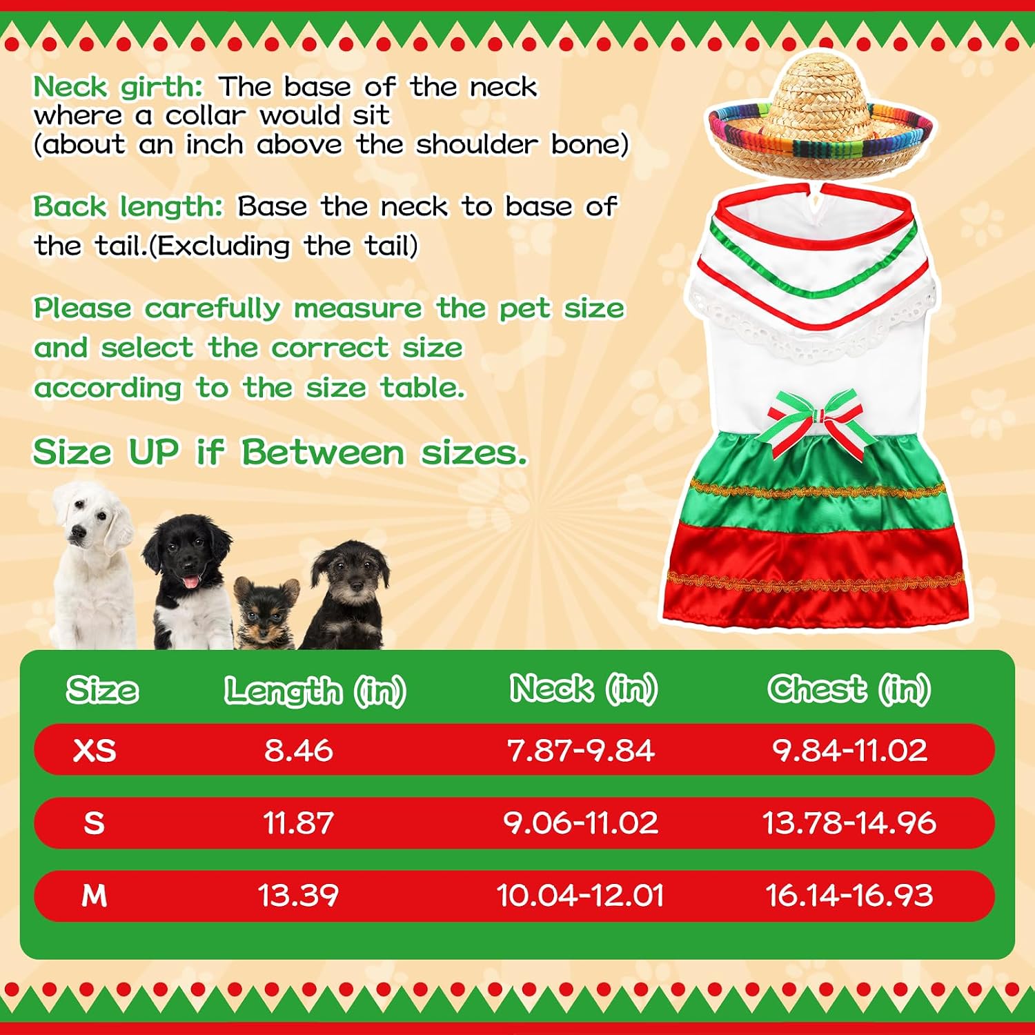 Bulyoou authentic imported pet clothing ensemble designed specifically for toy breeds and small cats.