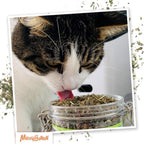Back label of Meowijuana Catnip Pawty Mix detailing ingredients and usage instructions