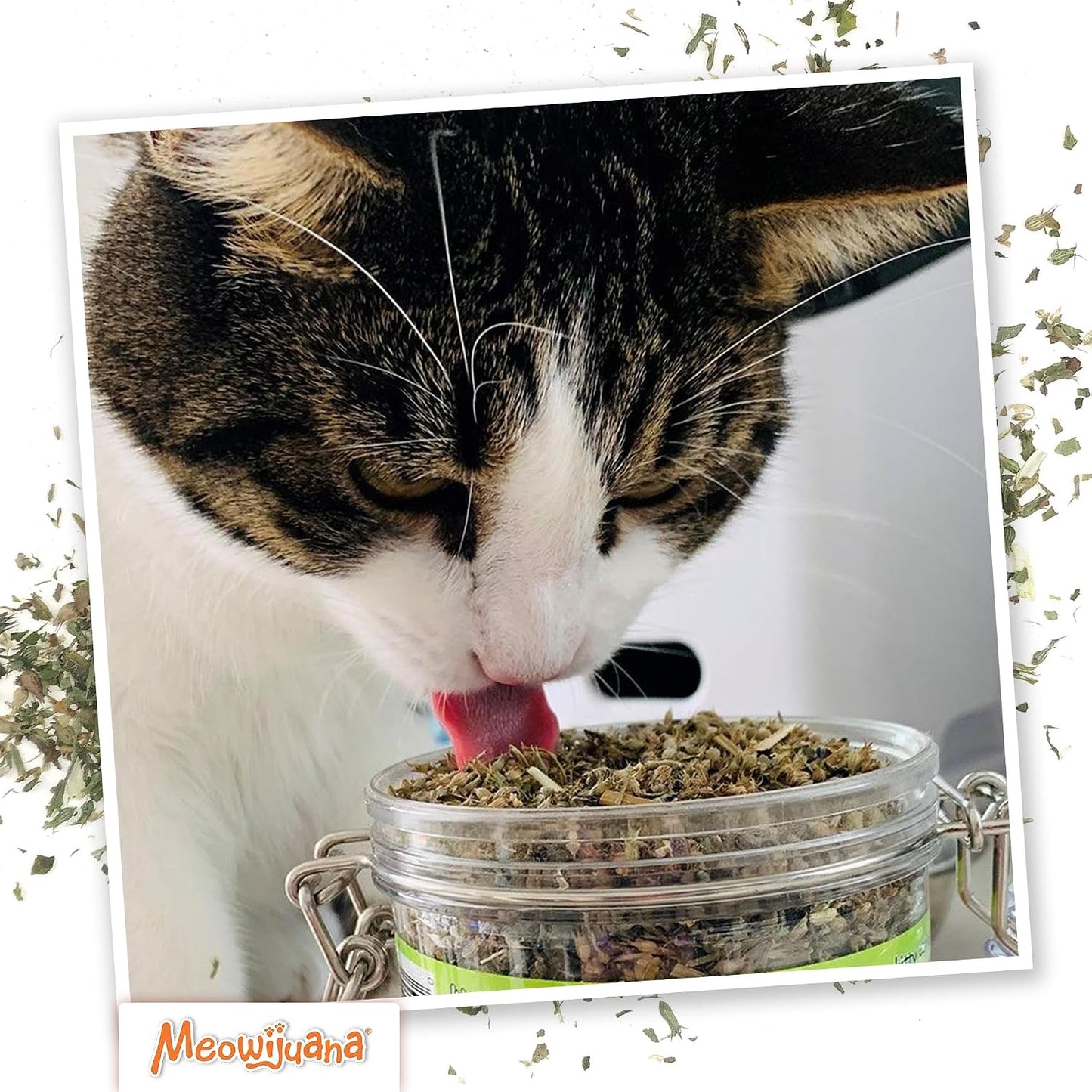 Meowijuana Catnibas Pawty Mix sixty gram jar packaging detail