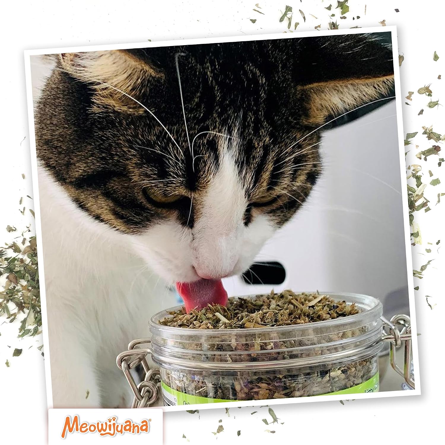 Meowijuana Catnibas Pawty Mix sixty gram jar packaging detail