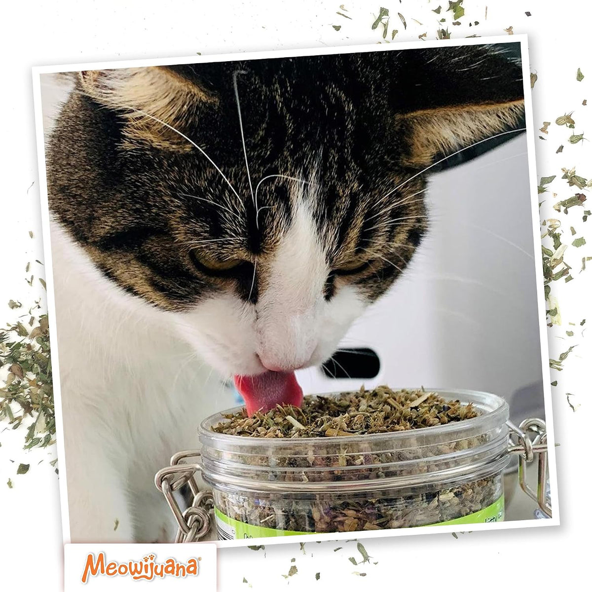 Back label of Meowijuana Catnip Pawty Mix detailing ingredients and usage instructions
