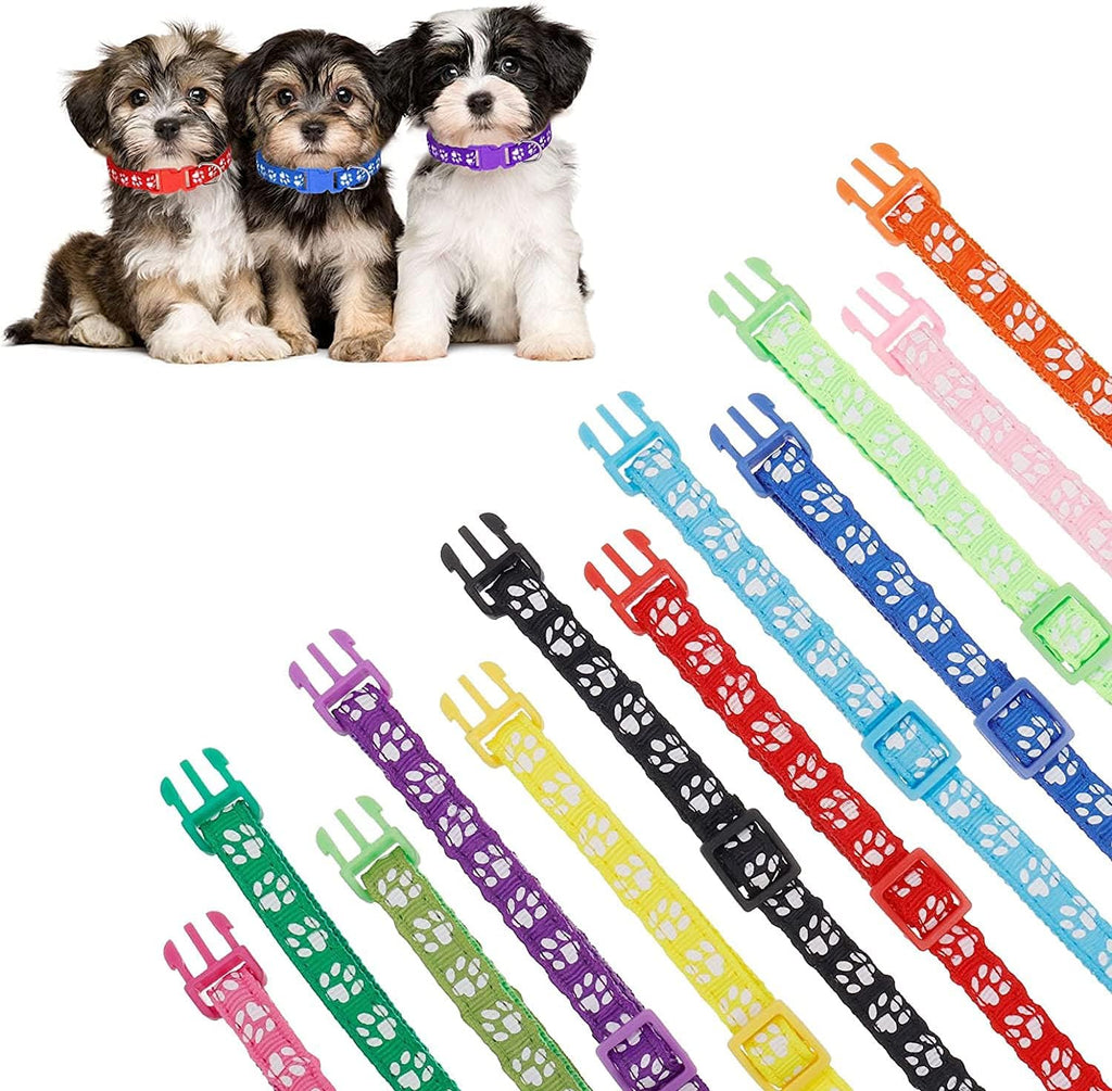 Adjustable whelping collar on a small puppy