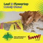 Chemical free filler free catnip pouch showing cartoon cat illustration