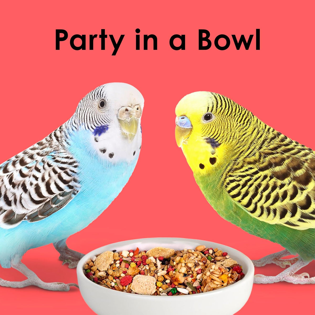 Kaytee Fiesta Parakeet Food, Nutritious and Fun Blend, Supports Skin, Feather, Digestion, Brain and Heart Health, 4.5 pounds - Image 10