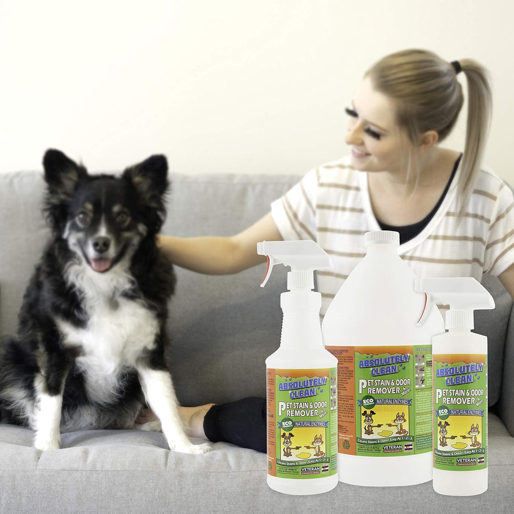 Absolutely Clean pet odor eliminator back instructions view