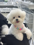 Kepudengen decorative pearl necklace for small dogs styled as a birthday celebration accessory