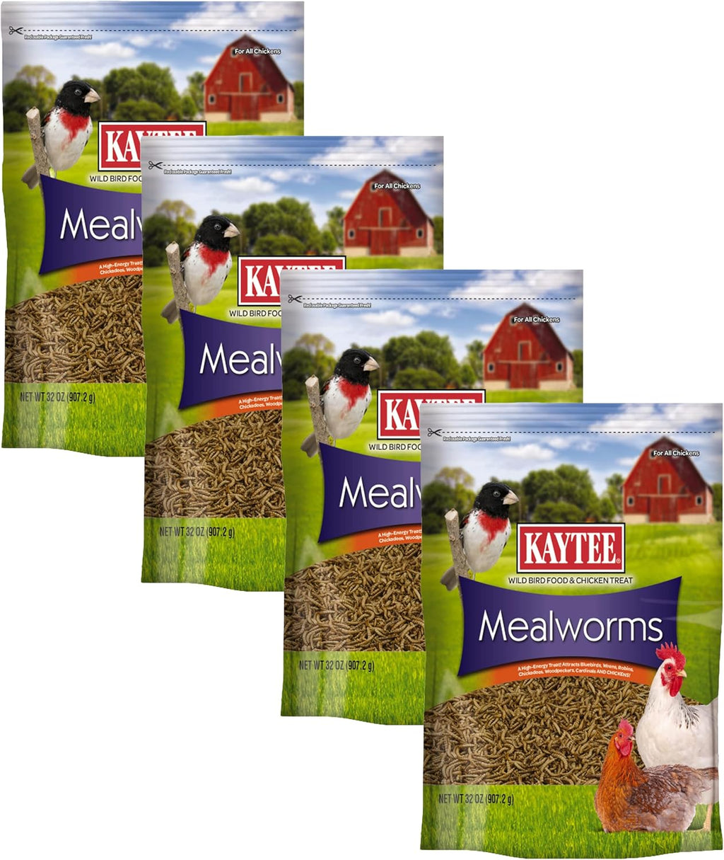 Kaytee Wild Bird Food Mealworms For Bluebirds, Wrens, Robins, Chickadees, Woodpeckers, Cardinals & Chickens, 17.6 Ounce - Image 12