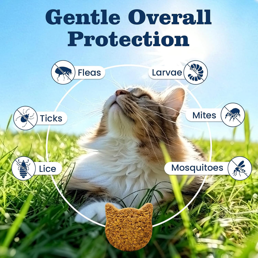 Plbkcts chicken flavored cat chews texture and form