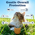 Plbkcts chicken flavored cat chews texture and form