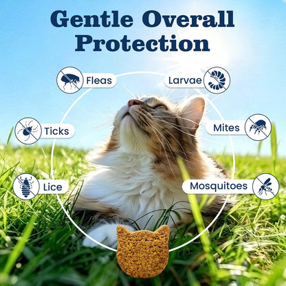 Plbkcts chicken flavored cat chews texture and form
