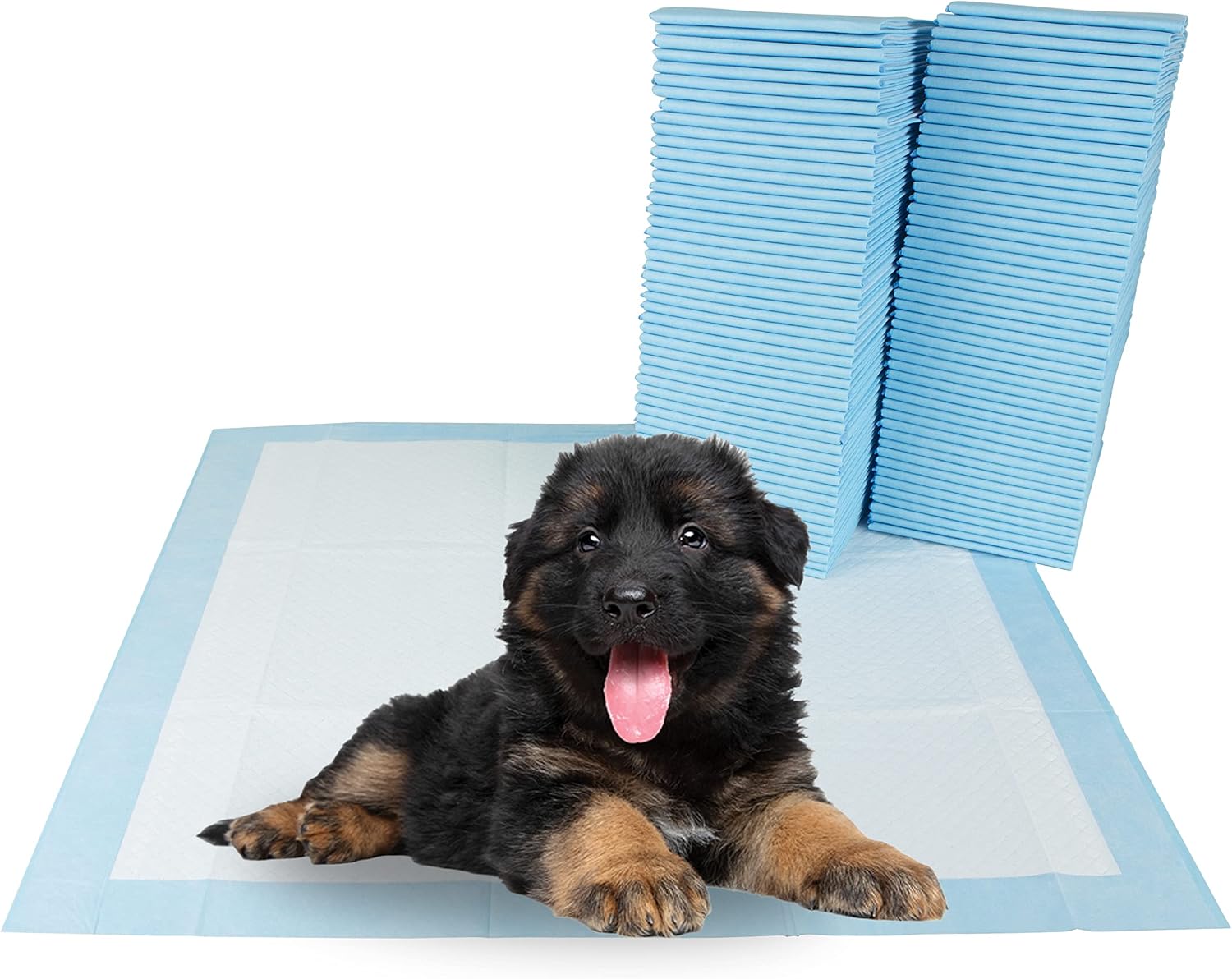 BV Puppy Pads Leak-Proof 100 Count 22"x 22" - Absorbent Pee Pads for Dogs with 6-Layer Design, Rapid Dry Sheet & Built-in Attractant - Dog Pad with Odor Control, Perfect for Puppies & Senior Dogs - Image 9