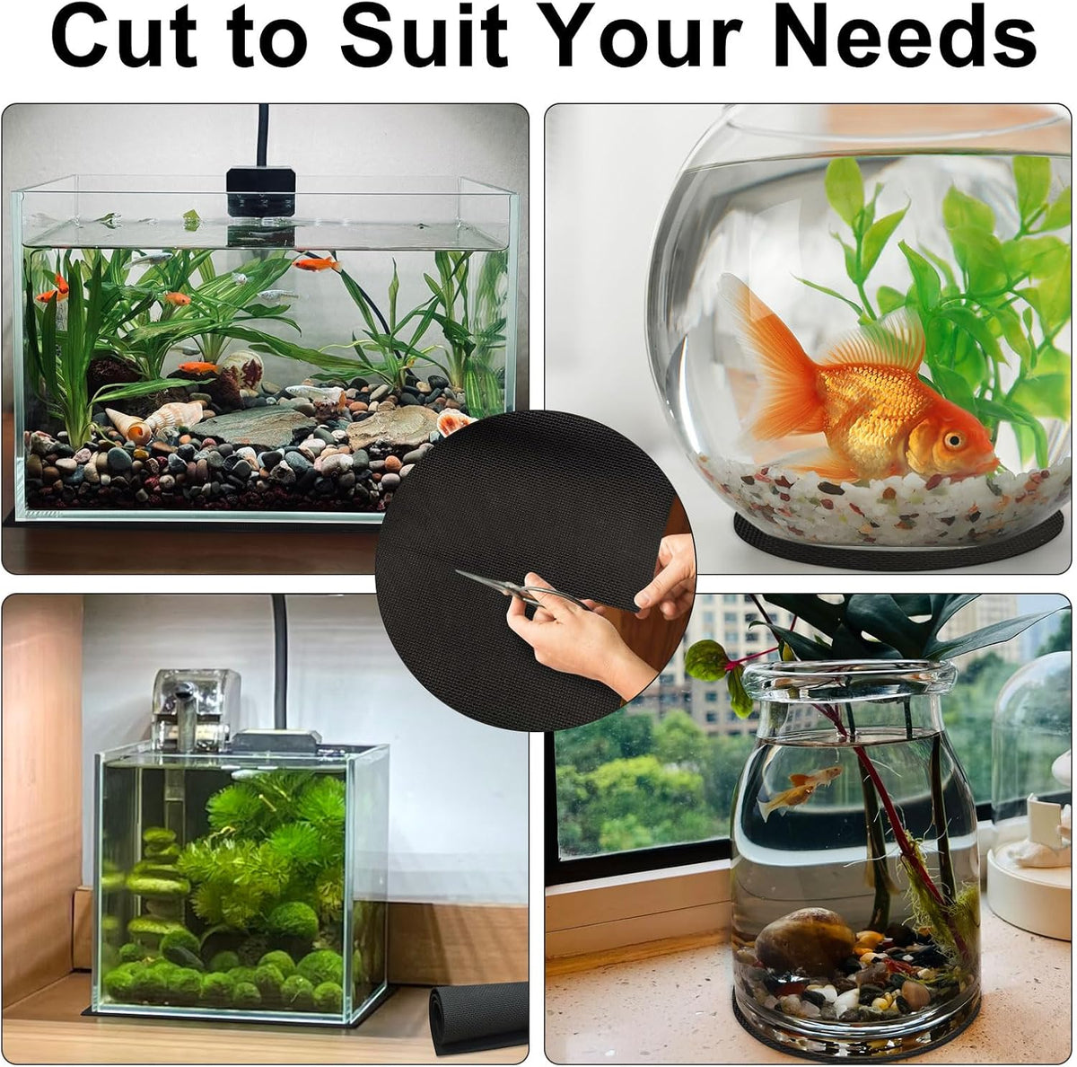 Avoirdus self leveling fish tank base protecting a rimless glass aquarium setup from micro vibrations.