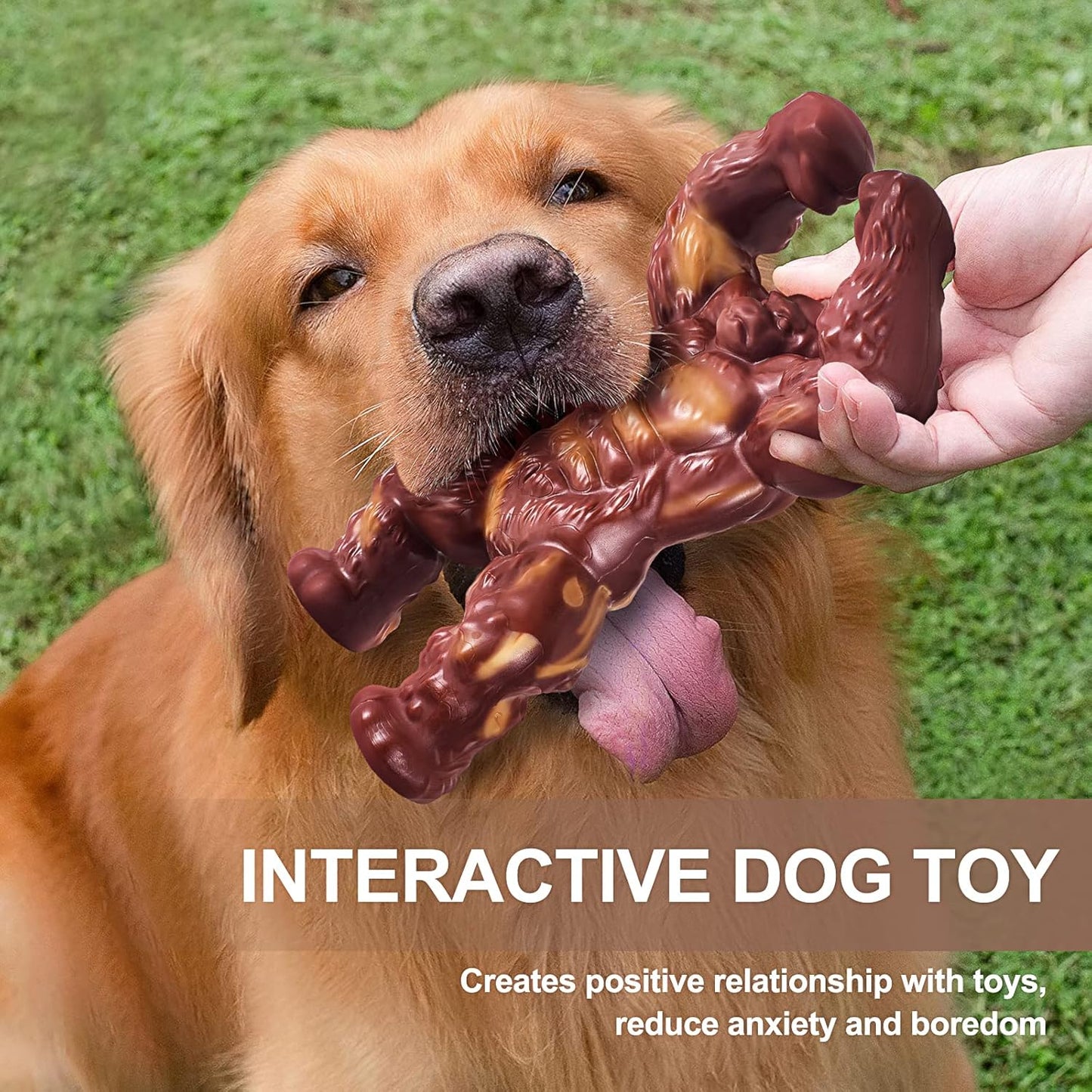 Heavy duty beef flavored bone for medium dogs
