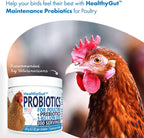 Equa Holistics HealthyGut poultry wellness powder texture view
