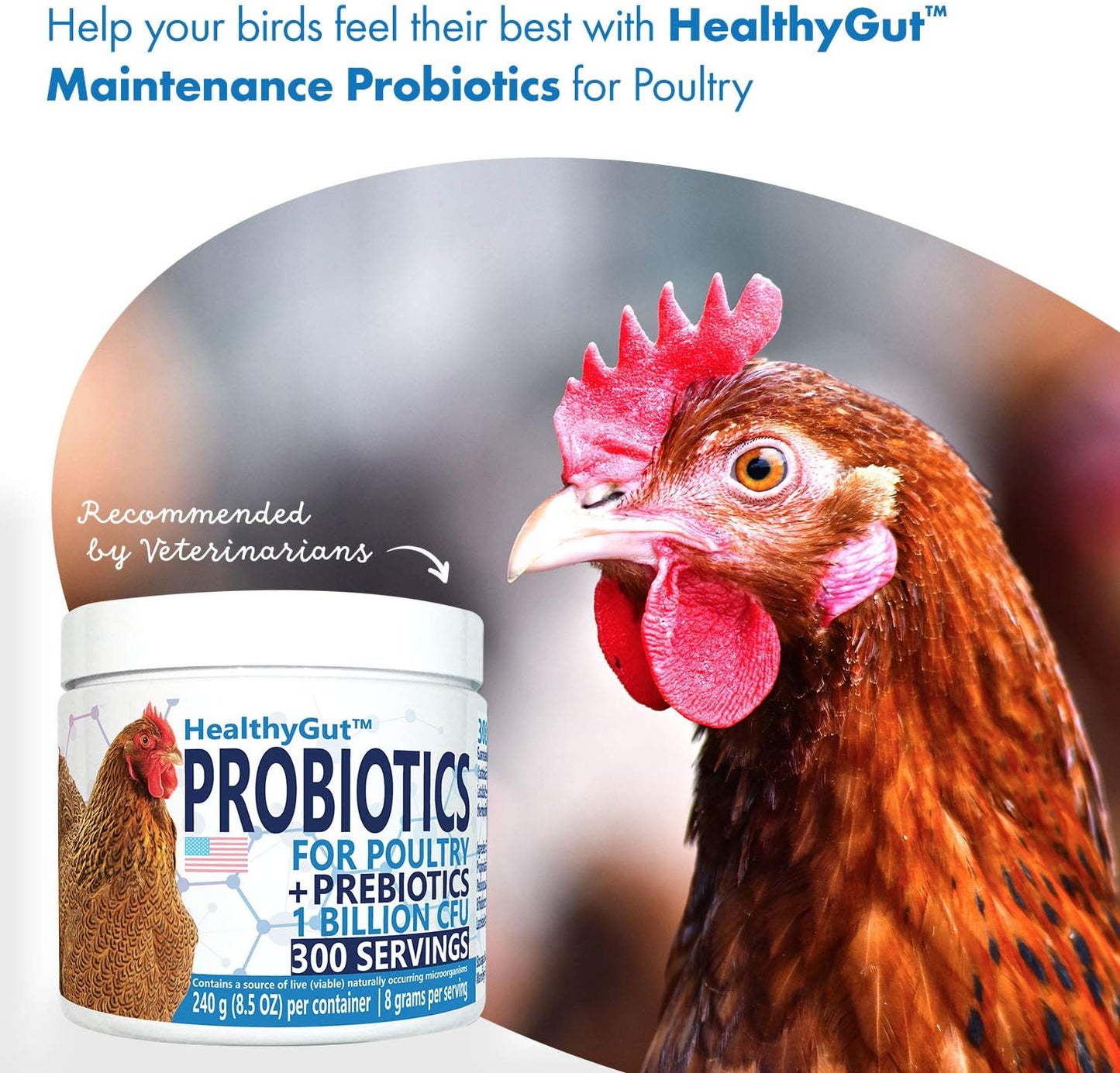 HealthyGut multi-strain probiotic formula for backyard hens showing non-GMO and human-grade quality seals.