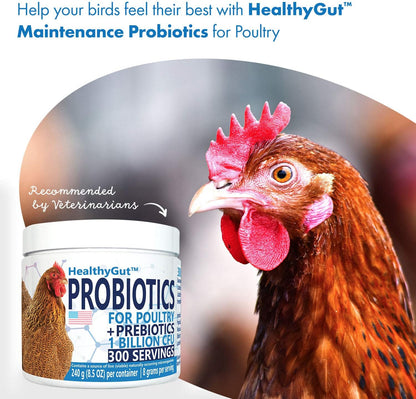 HealthyGut multi-strain probiotic formula for backyard hens showing non-GMO and human-grade quality seals.