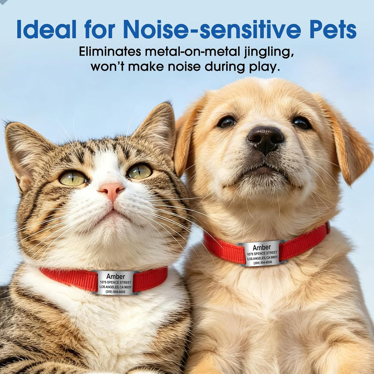 TechMark curved rectangular arch pet identification tag showcasing the slide on mechanism