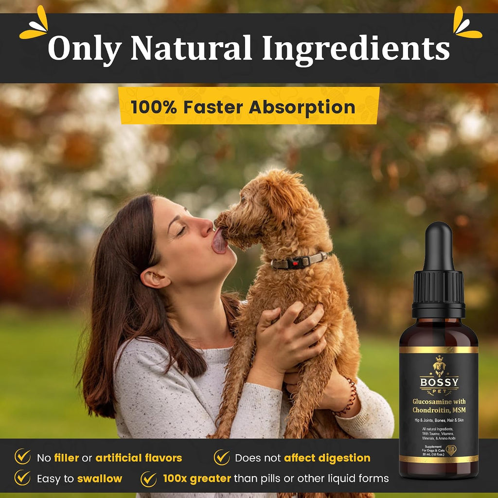 Professional pet mobility support supplement bottle