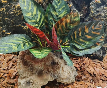 Reptile habitat featuring FLmoving artificial plant decor