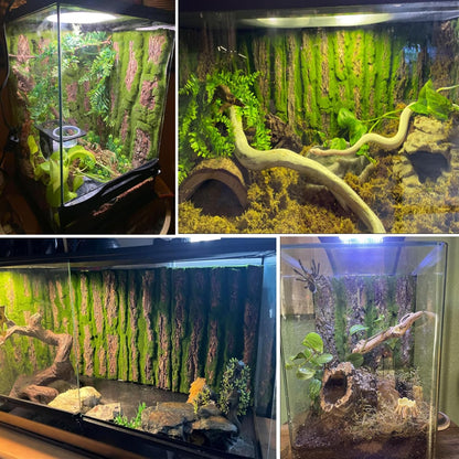 Bearded dragon habitat fitting bark backdrop installed in a glass terrarium