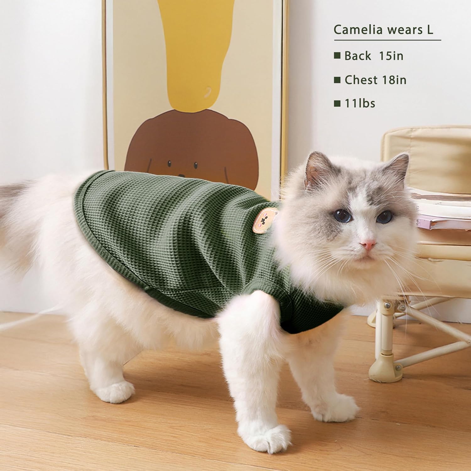 Sphynx cat wearing green waffle knit pet shirt