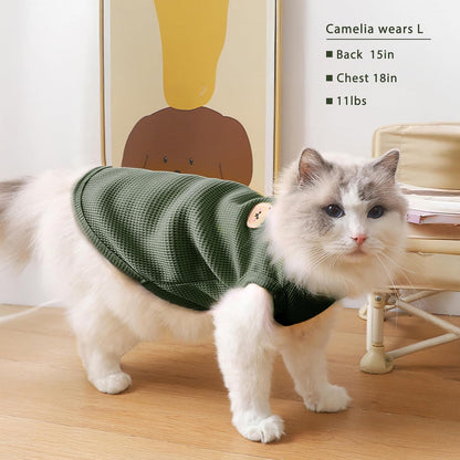 Sphynx cat wearing green waffle knit pet shirt