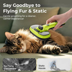 Pecute pet brush packaging box highlighting cool mist specifications