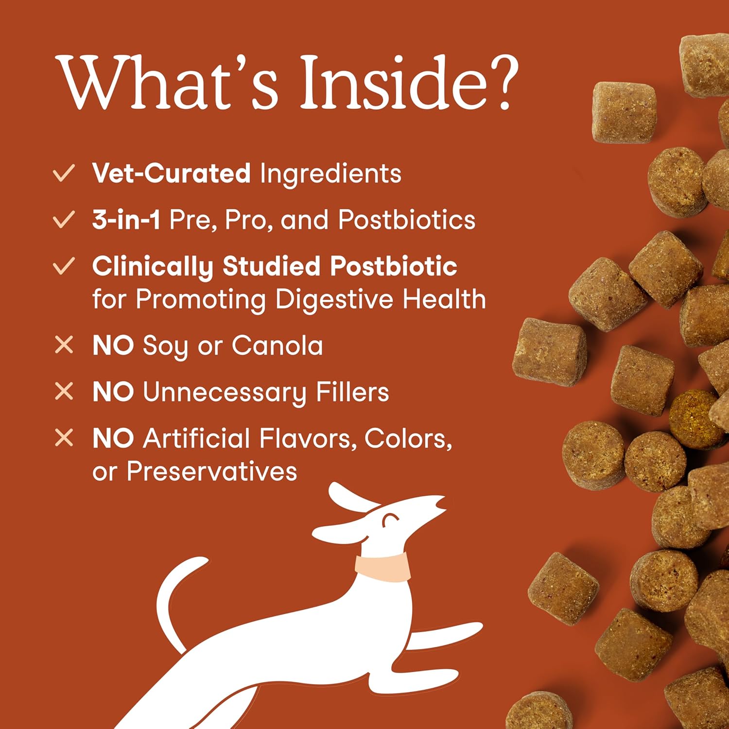 Premium USA imported dog prebiotic and postbiotic digestive supplement jar