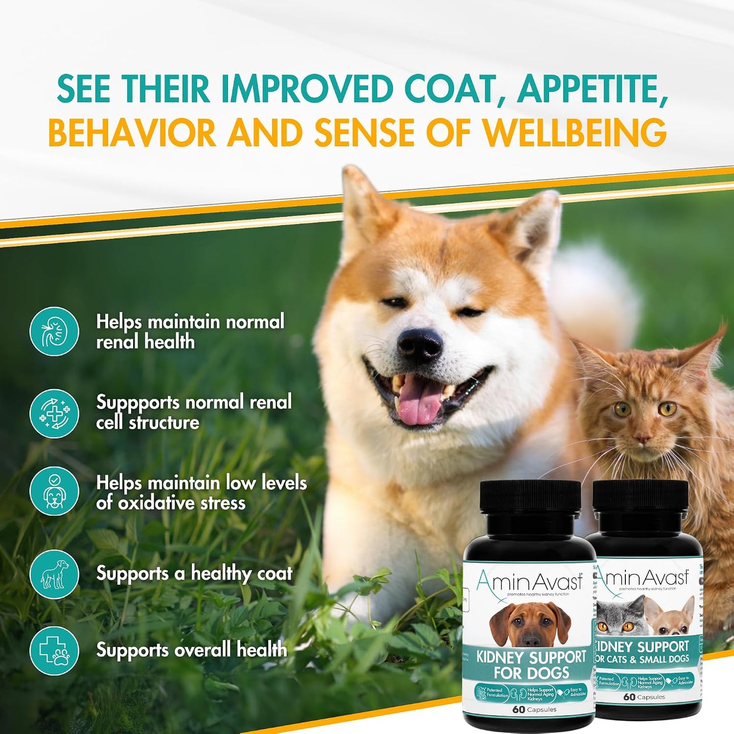AminAvast Small Dogs & Cat Kidney Support - Promotes Healthy Kidney Support in Cats & Small Dogs - 300mg, 60 Capsule - Image 2