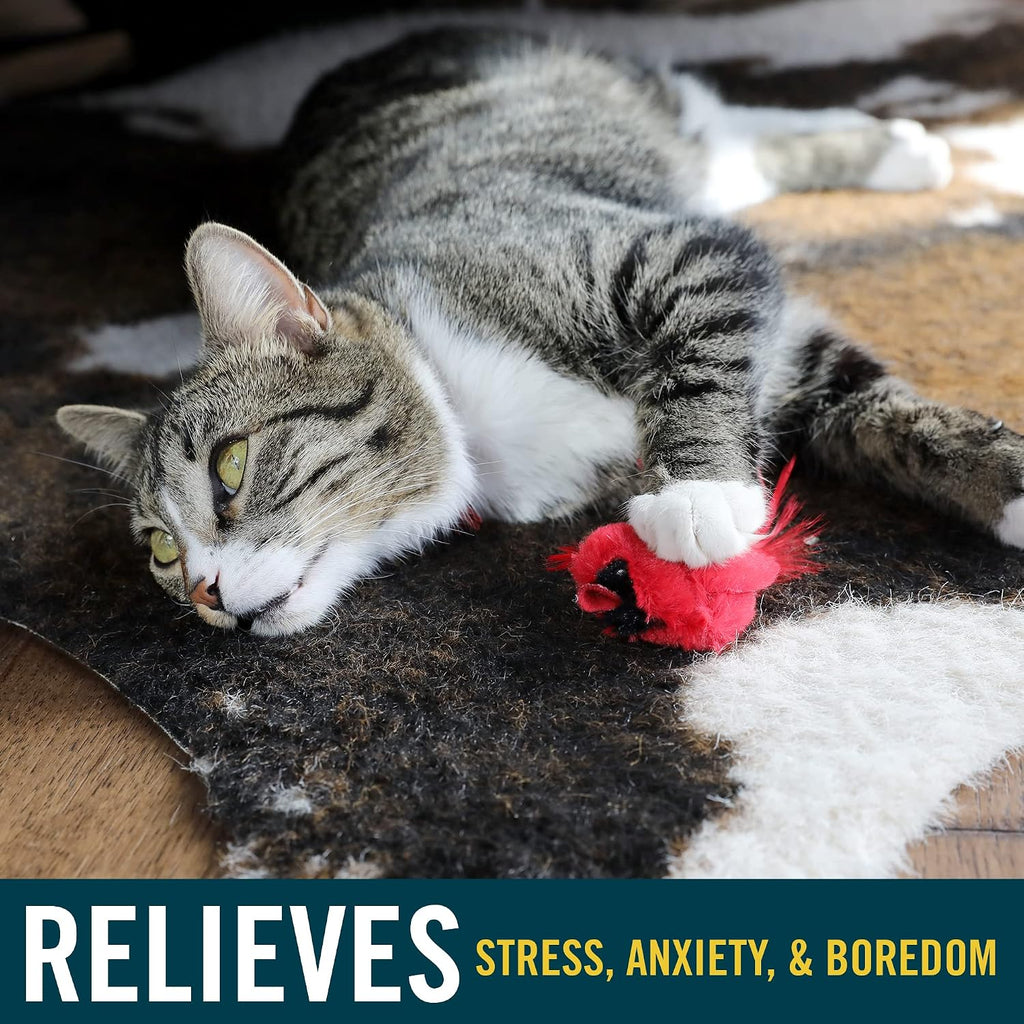 Our Pets toy showing electronic sound module placement