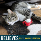 Our Pets toy showing electronic sound module placement