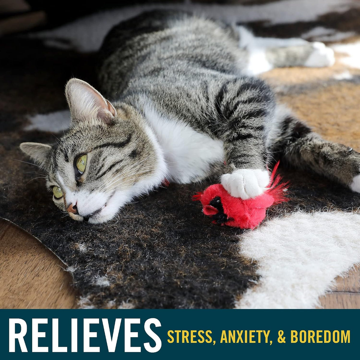 Our Pets toy showing electronic sound module placement