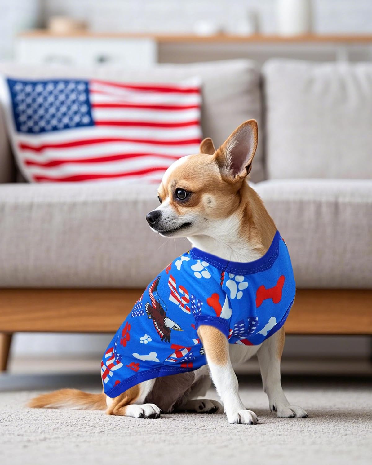 Side view of puppy in Independence Day apparel