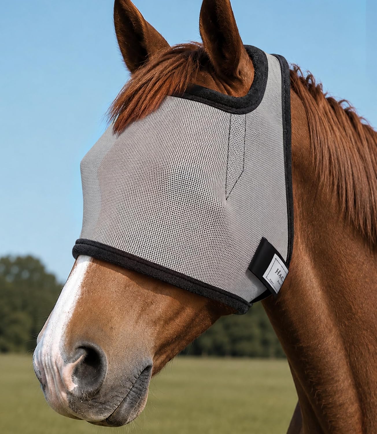 Fly Masks for Horses Without Ears, Non-Heat-Transferring Mesh w/UV Protection, Safe Eye Distance, Forelock-Open Horse Fly Mask, Ideal for Daily Turnout/Trail Riding/Pasture, Champion Blue L - Image 9