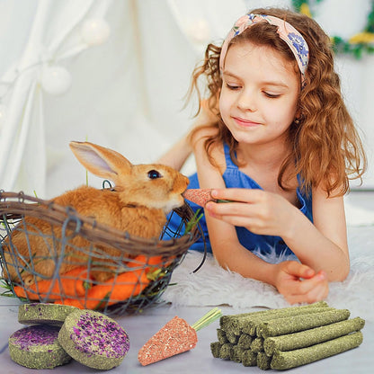 Small pet molar toys assortment including round disks and herbal hay sticks