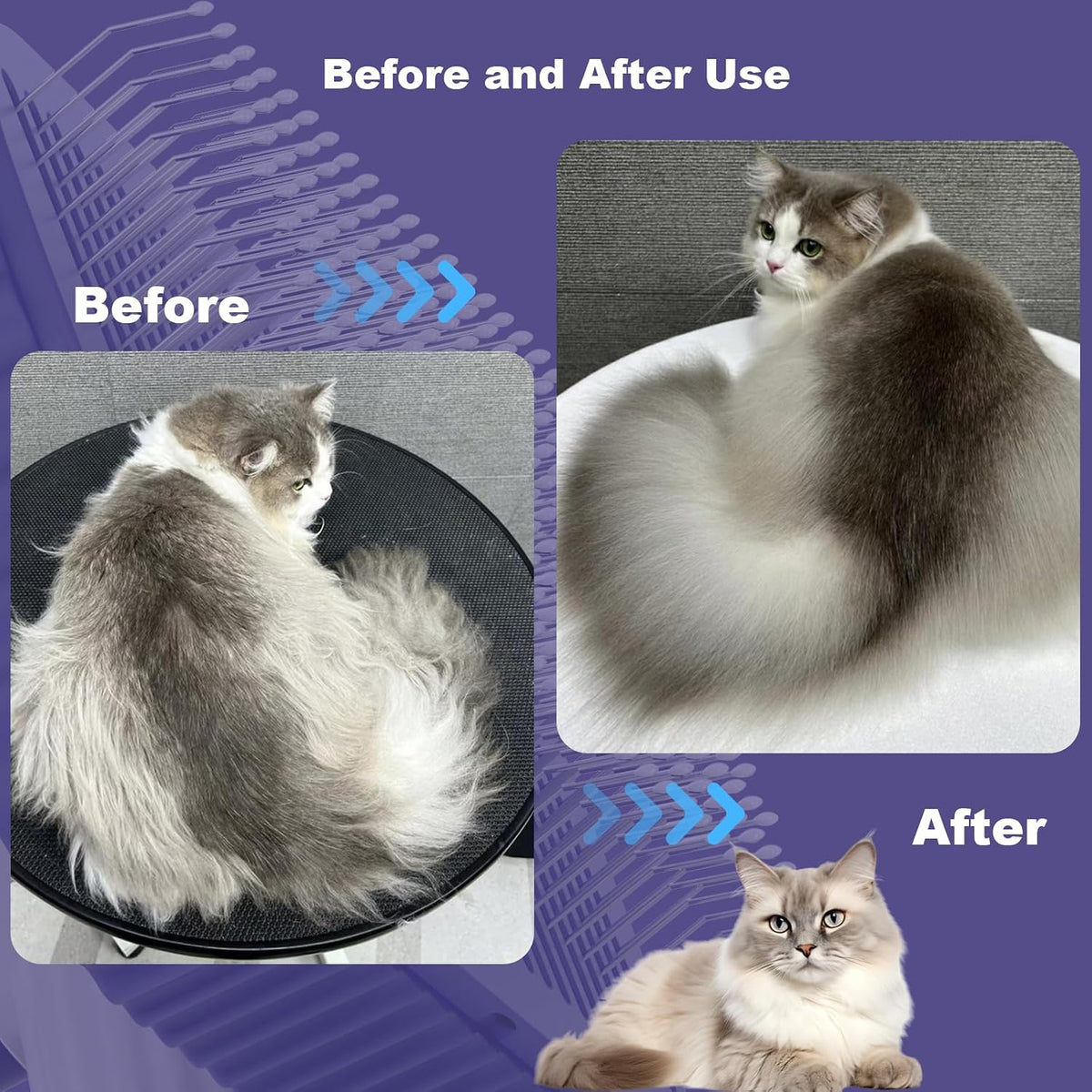 Garstor slicker brush removing loose undercoat hair from a feline
