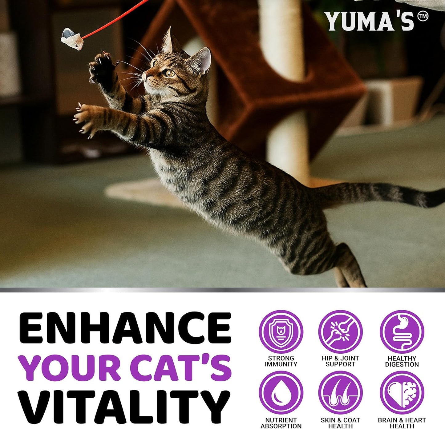 Veterinarian formulated cat health supplement with salmon oil for skin and coat.
