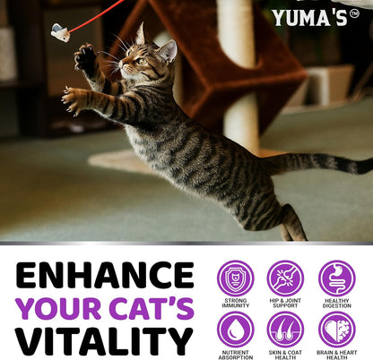 Veterinarian formulated cat health supplement with salmon oil for skin and coat.