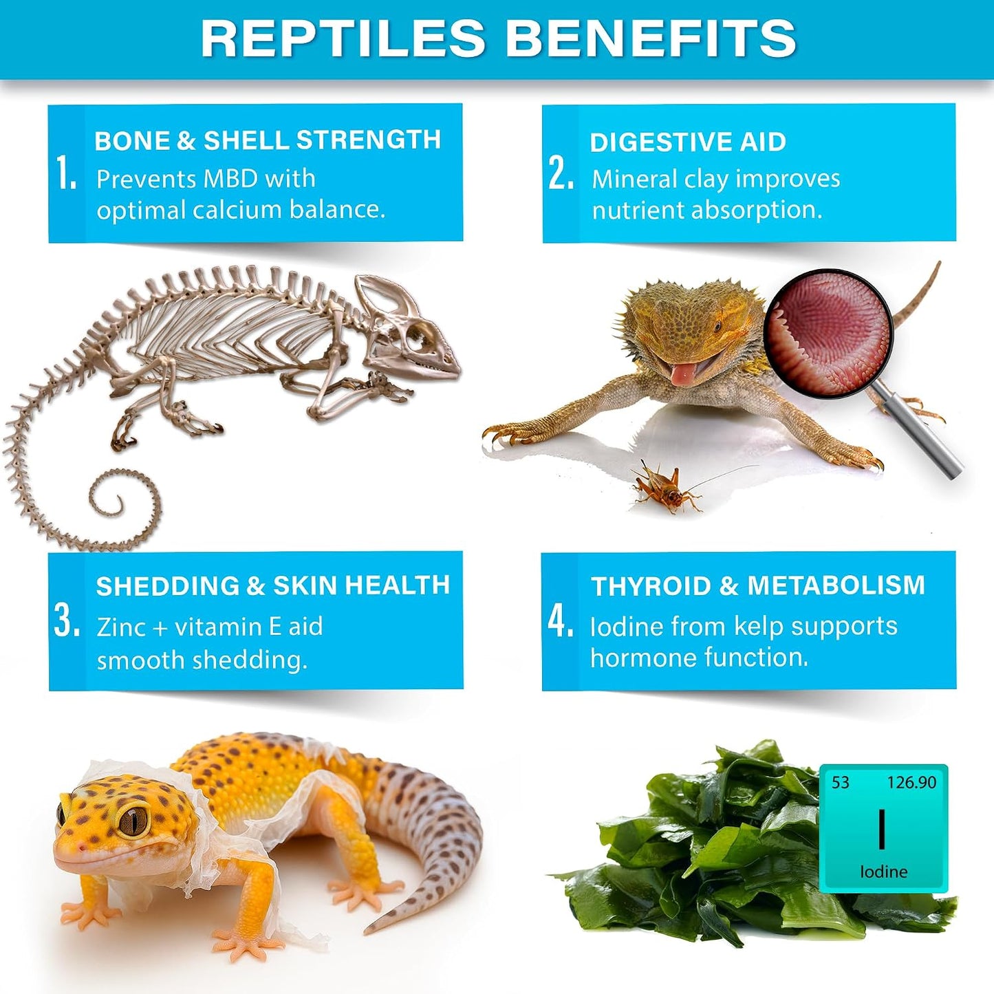 Gargeer Complete Minerals Plus ingredients and benefits label
