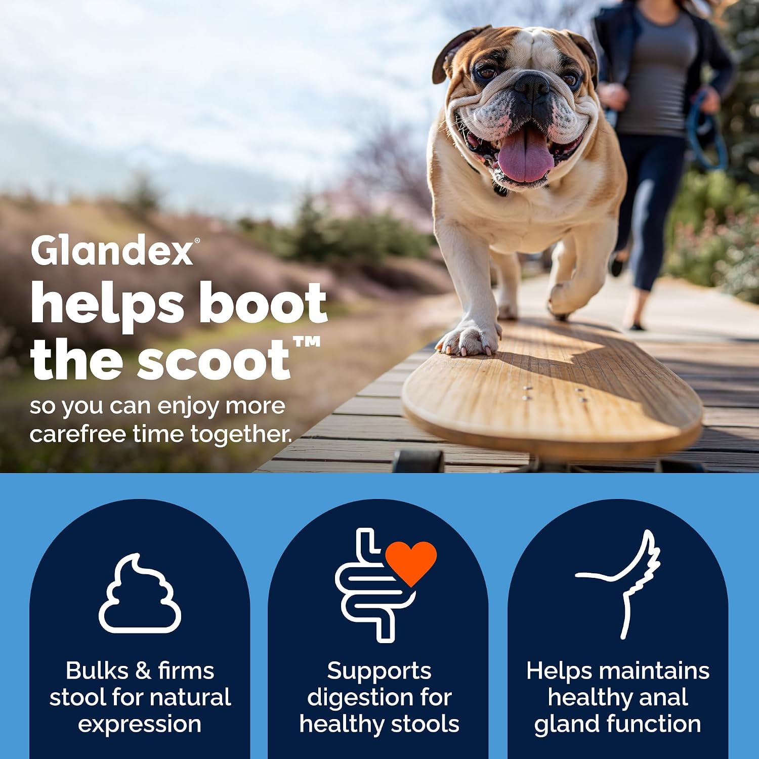 Vetnique Glandex powder digestive health benefits label