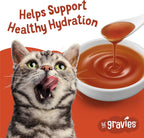 Pourable chicken gravy texture in a cat bowl close up