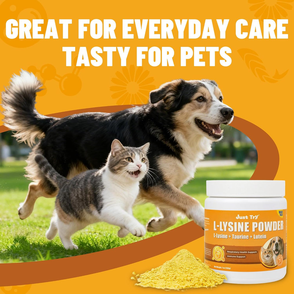 USA sourced L-lysine powder for feline ocular health