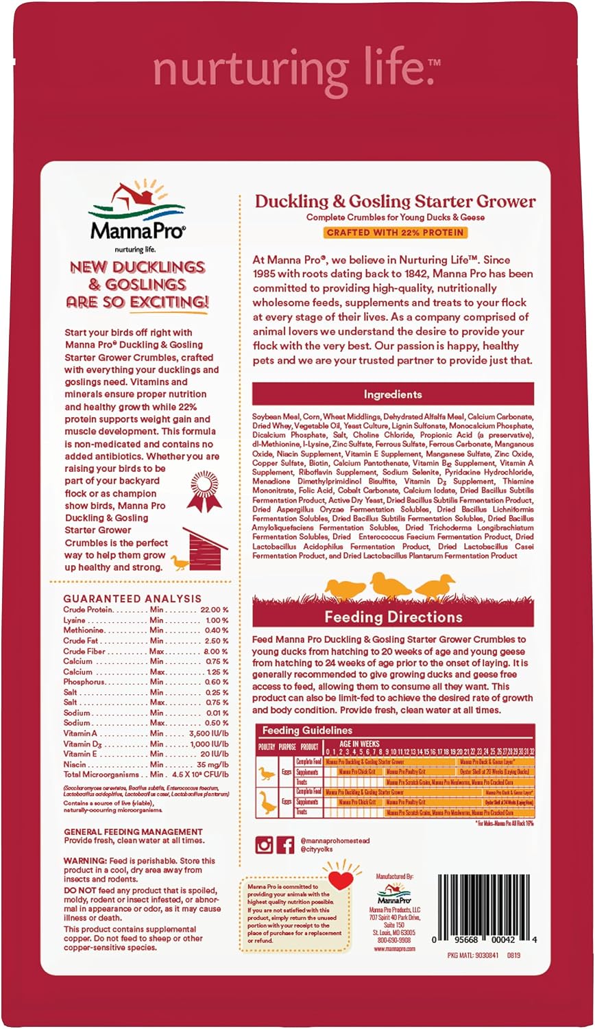 Healthy ducklings growing with Manna Pro specialized feed
