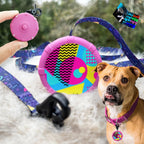 Premium imported hands free dog control kit showing the durable anti slip polymer grip and steel snap closure.
