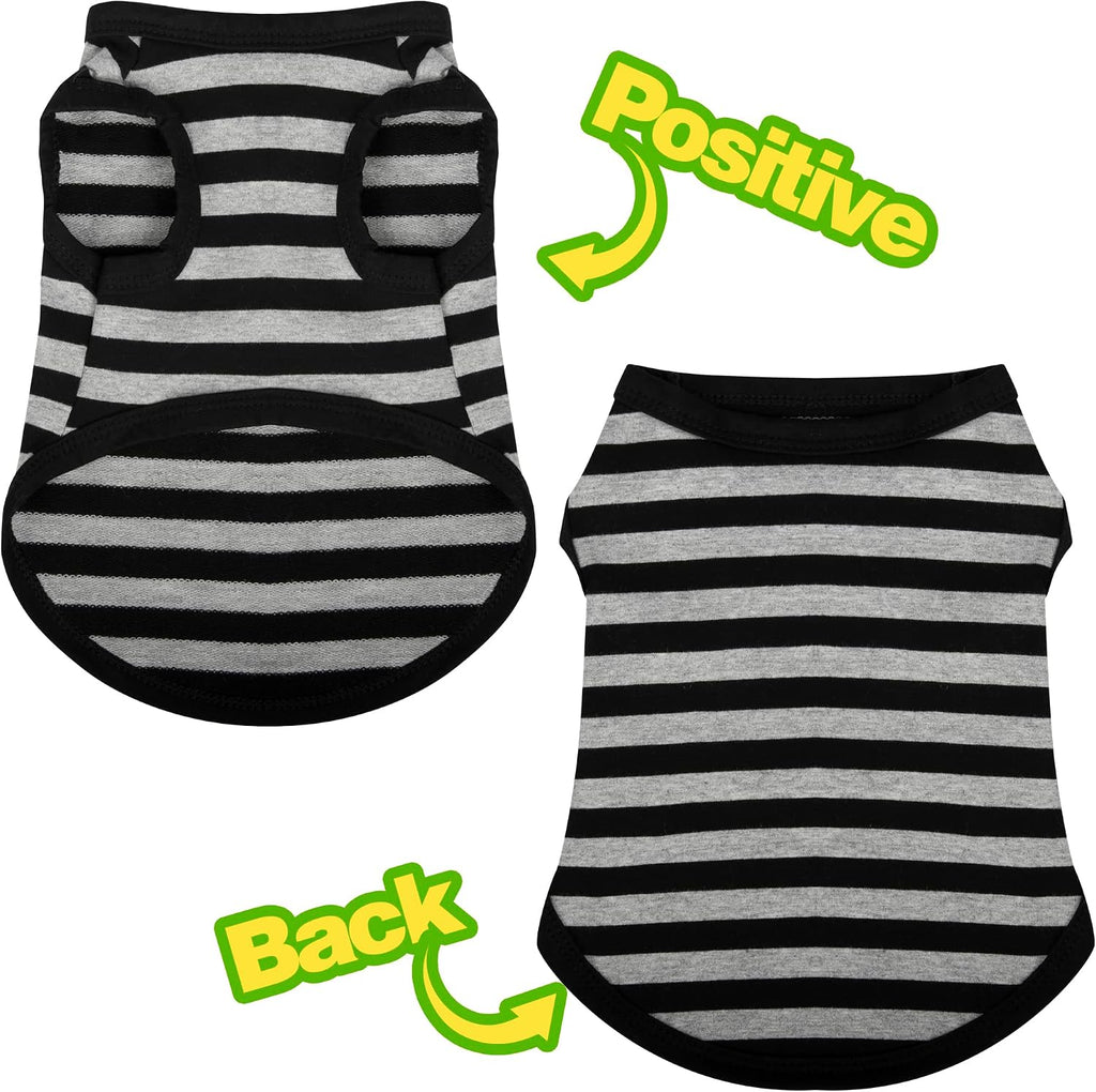 Group display of six piece dog clothing set
