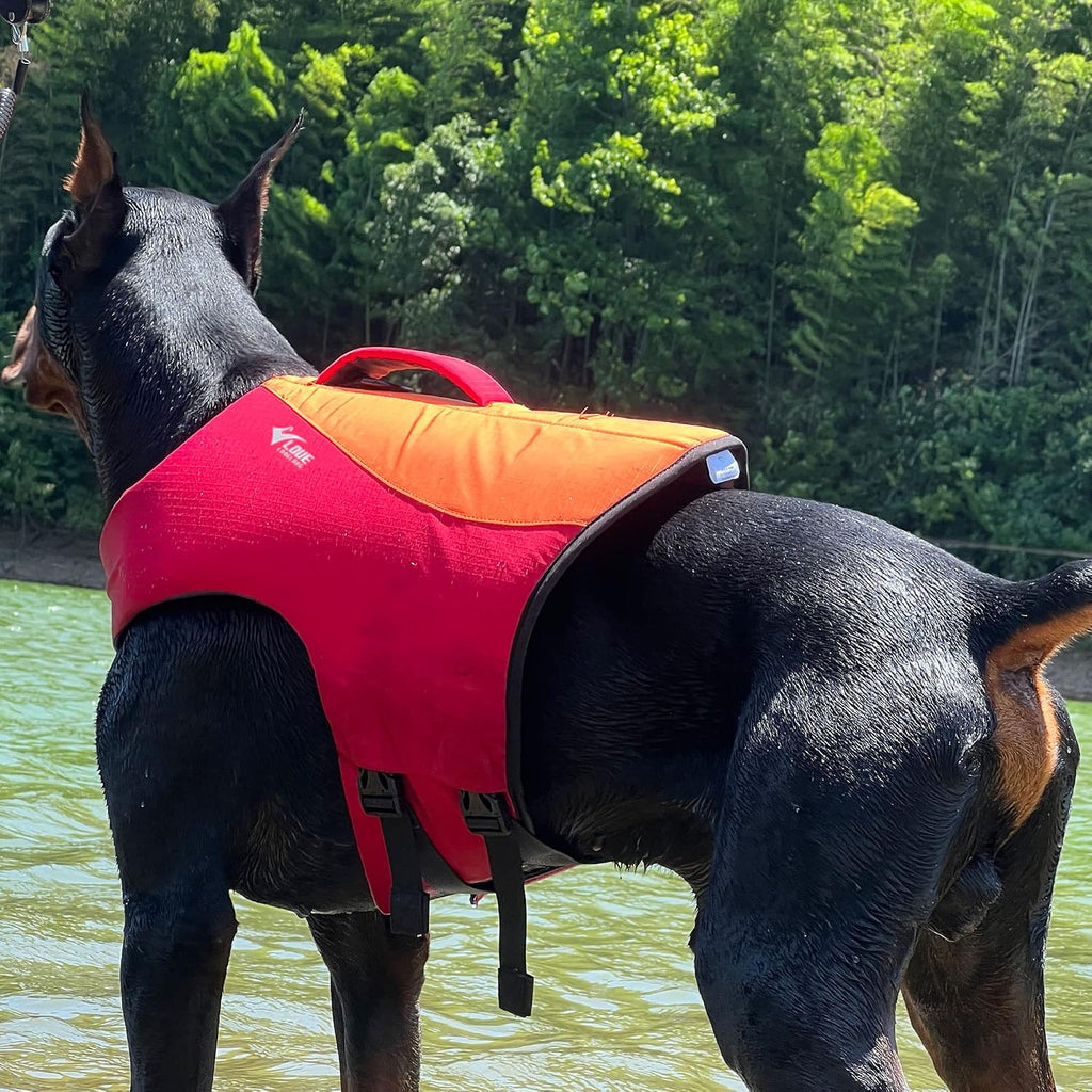 Dog Life Jacket, Sport Style Dog Float Coat with Excellent Buoyancy, Stylish Dog Swimming Safety Vest with Rescue Handle for Small Medium Large Dogs Orange-Red XL - Image 9