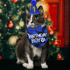Blue plaid cat birthday bandana for kittens